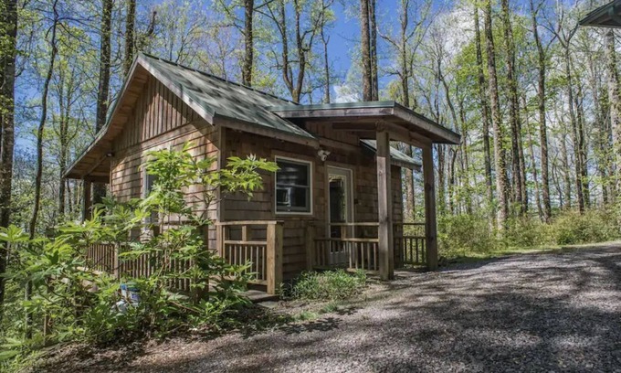 Chimney Rock Cabin | Cozy Romantic, Pet Friendly, Craftsmen Cabin In The Woods, DISCOUNTED RATES