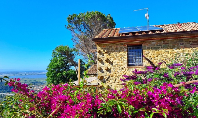 Massarosa House | Cozy Rustico-garden, sea-lake view, air cond. WIFI, washer, PISA LUCCA, discount