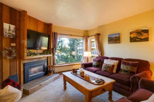 Peak 9 Apartment | Cozy Ski-InandSki-Out Breckenridge Condo Mtn Views!