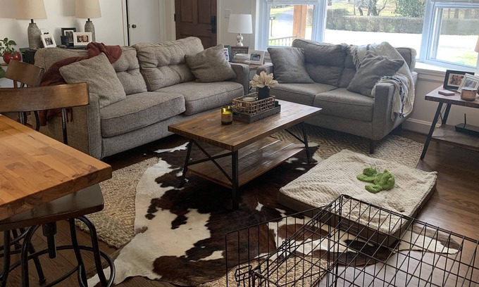 Bristol House | Cozy, spacious, & reinvented - great for relaxing or entertaining!