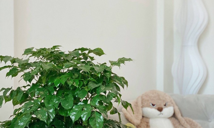Tu Liem Apartment | Cozy studio in pleasant Hà Nội with WiFi, AC