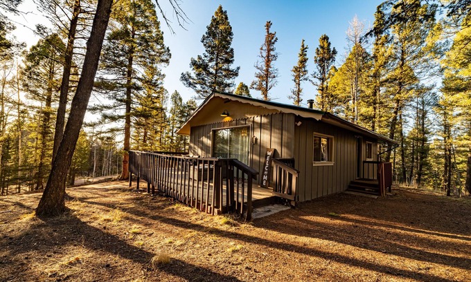 Florissant Cabin | Cozy Winter Cabin! On 1 Acre w Wood Burning Fireplace and Dark Skies!