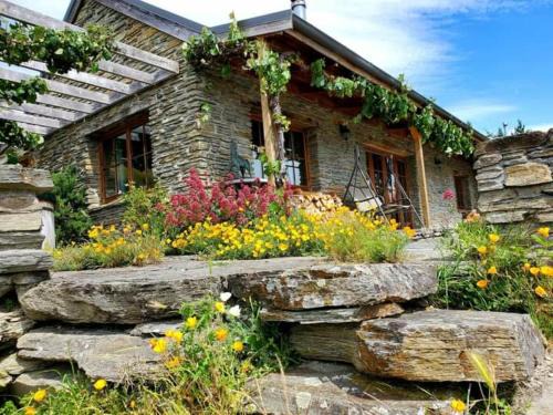 Arrowtown House | Creagh Cottage and Homestead
