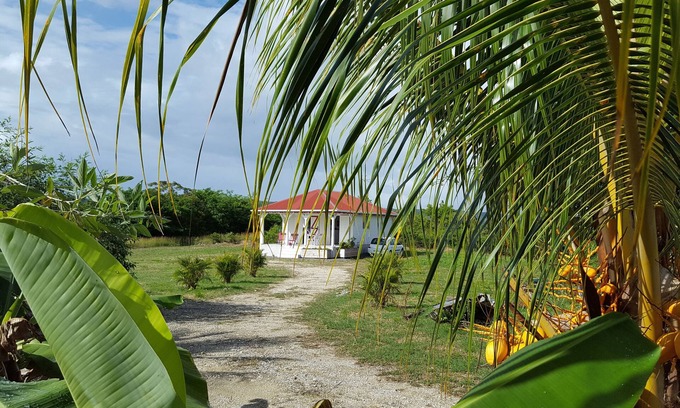 Saint-Louis House | Creole bungalow between sea and countryside In the heart of nature, quiet and ventilated.