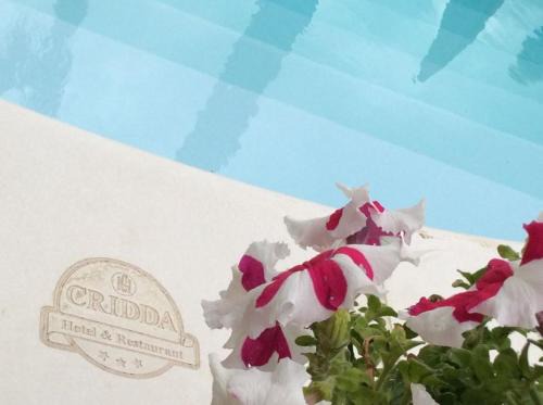 Gizzeria Hotel | Cridda Hotel & Restaurant
