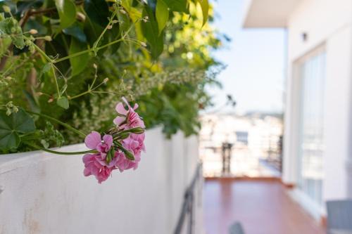 Algiers Apartment | Cross views city, sea