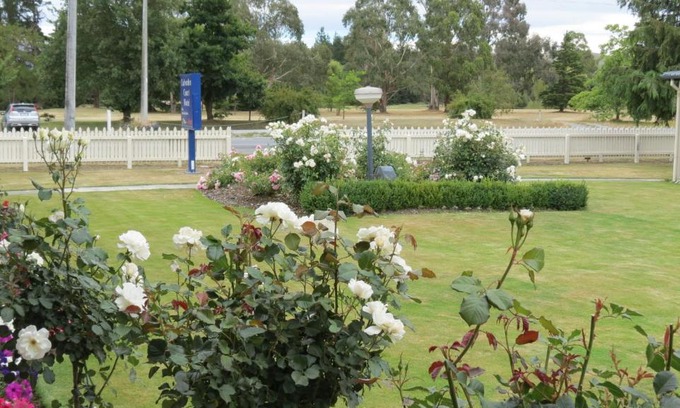 Culverden Hotel | Culverden Court Motel