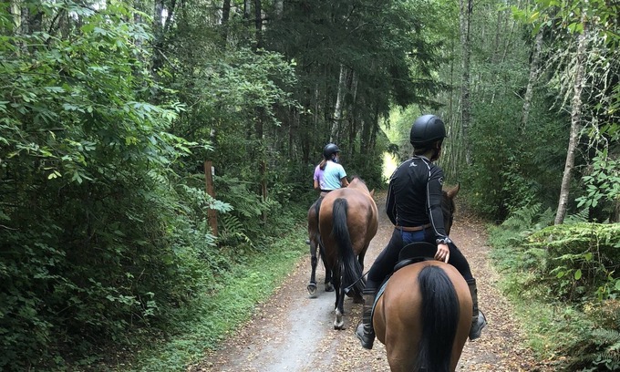 Adelma Beach Other | Cute cottage on a pastoral horse farm in a peaceful valley surrounded by nature.