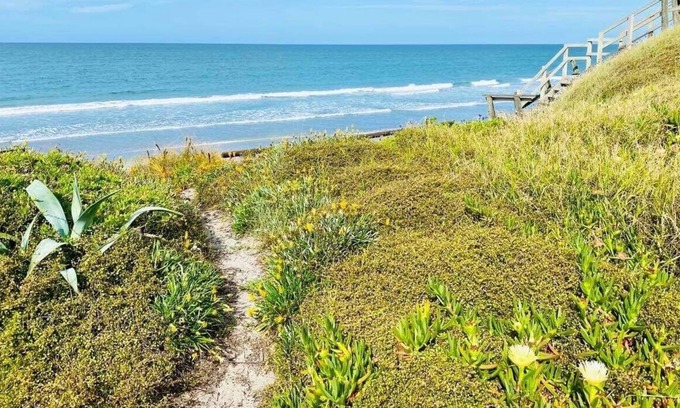 Pukehina House | Cute little studio with beach just over the road. Sleeps 4!