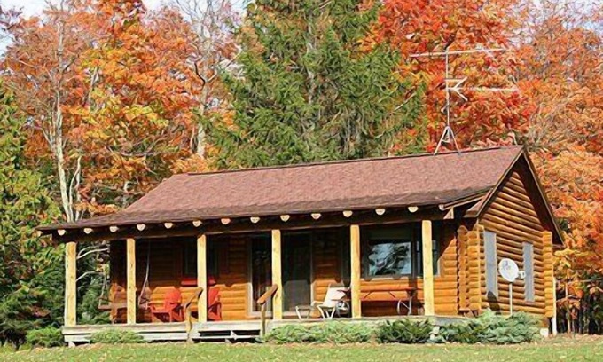 Central Lake Cabin | CUTE LOG CABIN WITH SHARED FRONTAGE ON TORCH LAKE