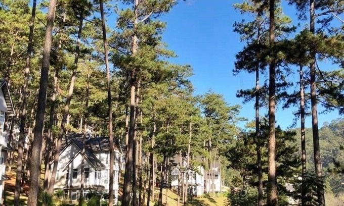Da Lat Villa | Da Lat Luxury Lake View Luis Villa