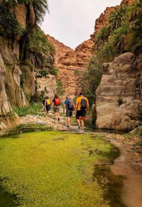 Tafilah Governorate Hotel | Dana bedouin Sky