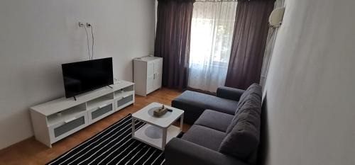 Pitesti Apartment | Dana