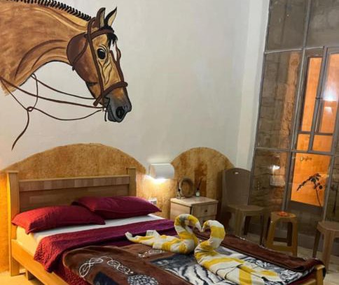 Dana Hotel | Dana star