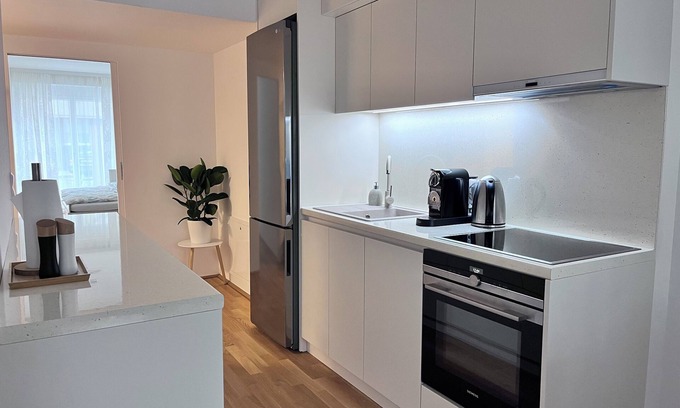 Kaisermuhlen Apartment | Danube22 Apartment