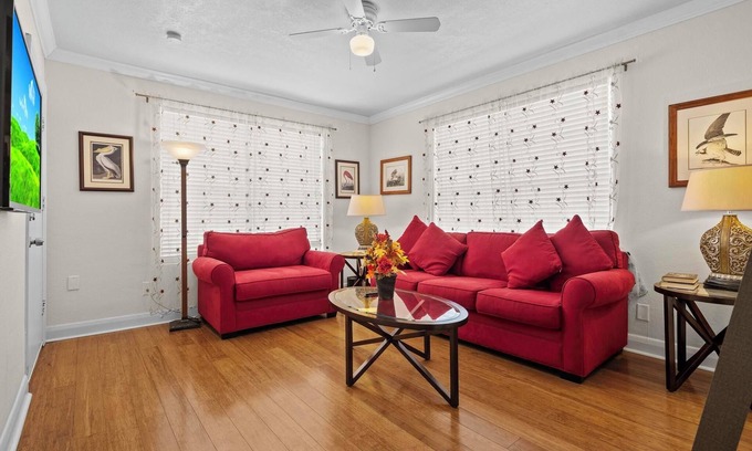 Davis Islands Apartment | Davis Islands Audubon Oasis 1 Bedroom
