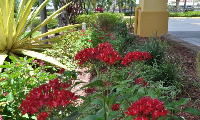 Florida City Hotel | Days Inn by Wyndham Florida City