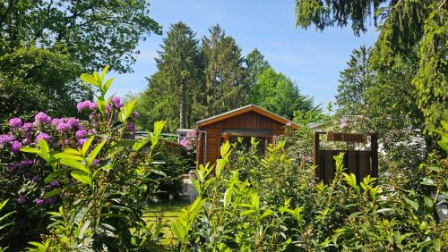 Krachtighuizen House | De Bosuil