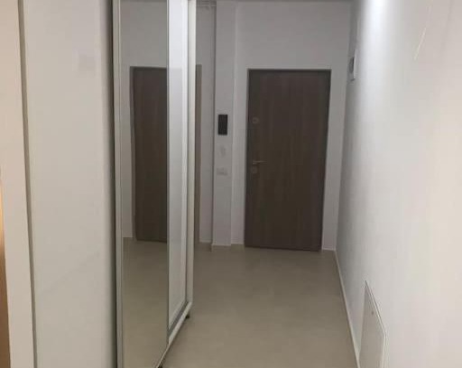 Dumbravita Apartment | Delia Apartment