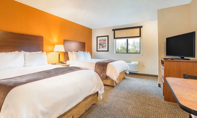 Aberdeen Hotel | Delight in Aberdeen’s Best – Pet-Friendly Room & Kitchen