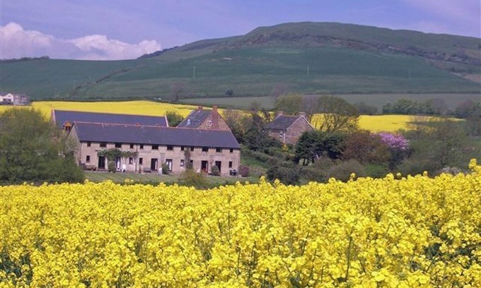 Bridport Cottage | Delightful country cottage. Stunning views. A few minutes walk to Seatown beach