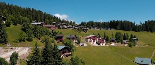 Notre-Dame-de-Bellecombe Apartment | Demi Chalet Le LACHAT