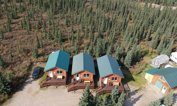 Healy Cabin | DENALI'S ALASKAN SPRUCE CABINS