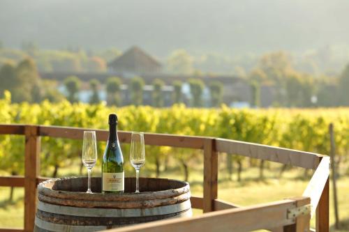 Dorking Hotel | Denbies Vineyard Hotel