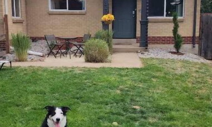 Clayton House | Denver Skyland 2 Br 1 Ba Home Extended Stay