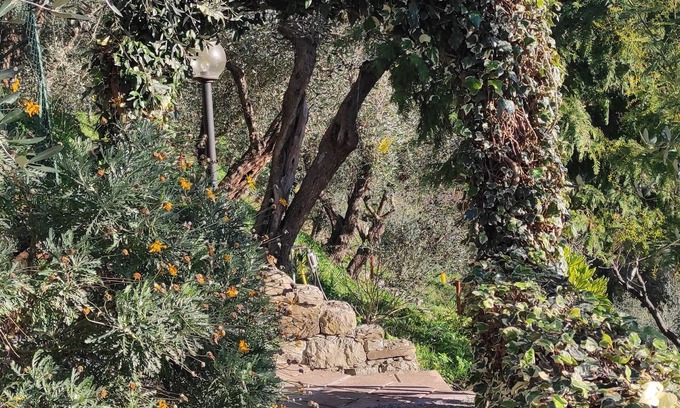 Leivi House | Detached cottage surrounded by greenery just minutes from the sea.