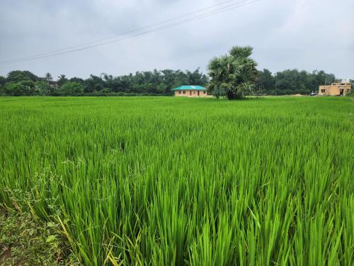 Barddhaman Hotel | Dhanbari Retreat
