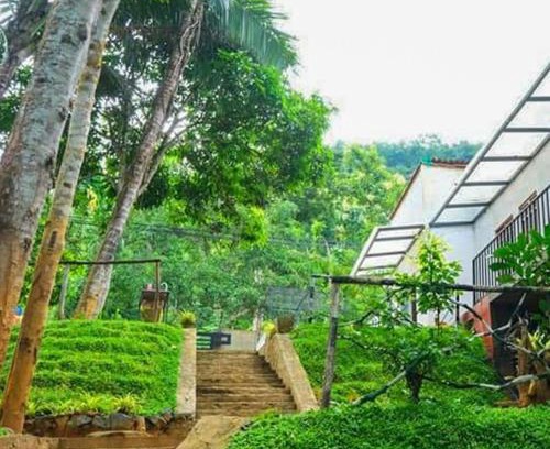 Bulathkohupitiya Hotel | Dhighayu Ayurvedic Wellness Resort