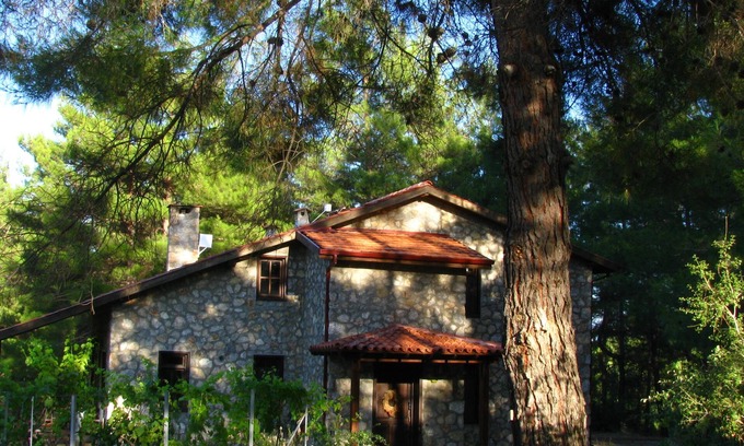 Fethiye Apartment | Dikencik Cottages