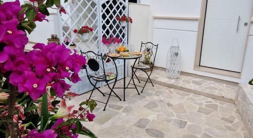 Chiesiola Apartment | Dimora le Camelie