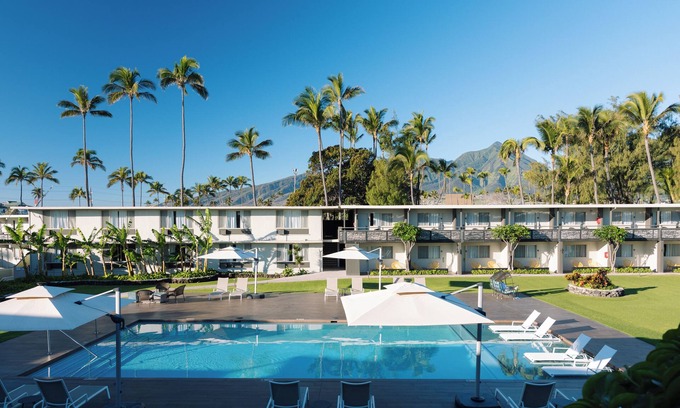 Kahului Hotel | Discover Maui’s Spirit! Outdoor Pool, 3 Pet-friendly Units