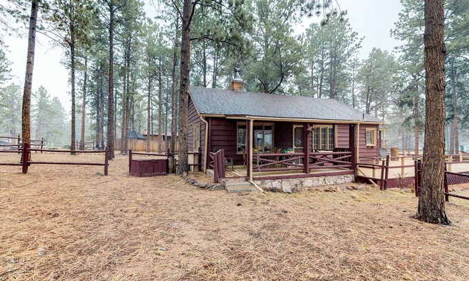 Woodland Park Cabin | Dog-friendly cabin w/full kitchen, free WiFi, great location & updated bathroom