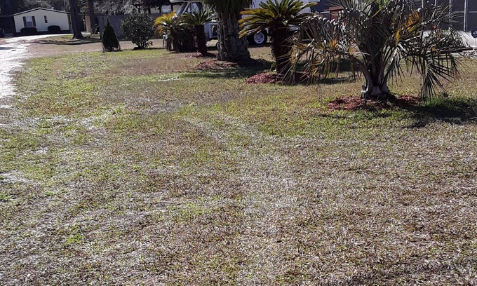 Crescent City House | Dog friendly vacation rental near St. Johns River