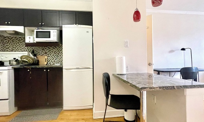 Milton Park Apartment | Downtown McGill festival area explore the city in wonderful summer