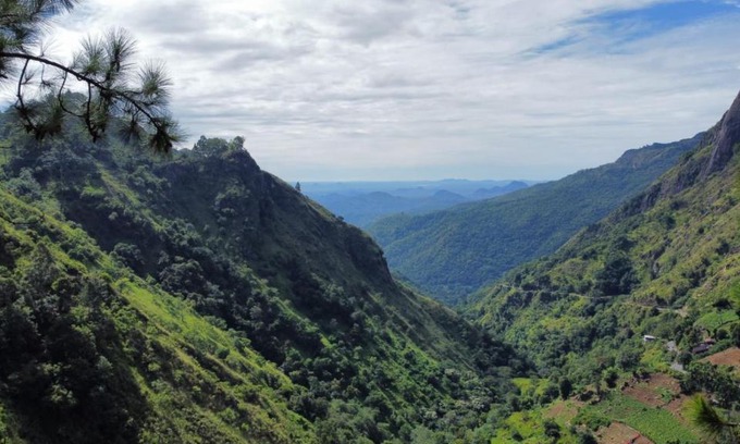 Ambagollapathana Bed & Breakfast | Dream view