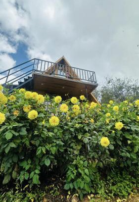 Kodaikanal Other | Dreamy Wonders Resorts
