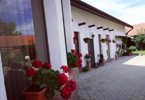 Voila Bed & Breakfast | Dridif 135