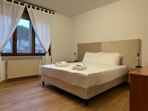 Due Carrare Apartment | Due Carrare Business
