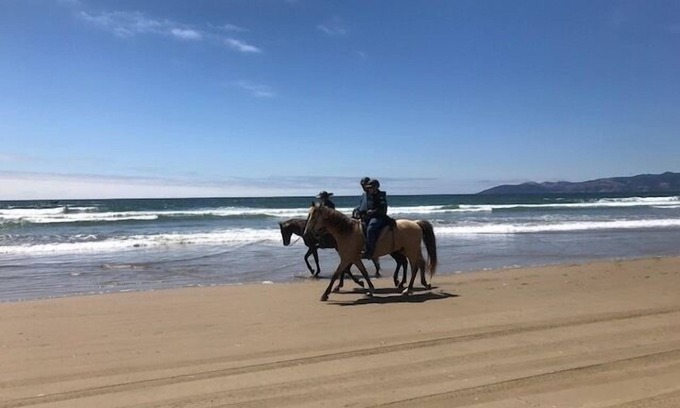 Oceano Hotel | Dune Surfer Inn
