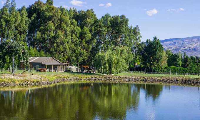 Alexandra Bed & Breakfast | Dunstan Road B&B