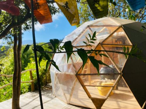 San Jose De Los Llanos Resort | Eco-Resort Domo Maestra
