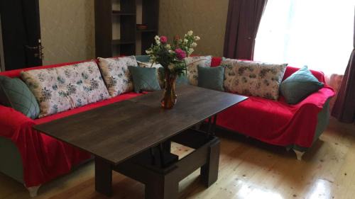 Lagodekhi Apartment | Edward's Guesthouse