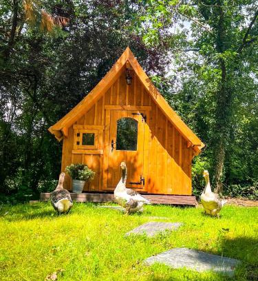 Ulmen House | Eifelhüttchen Rotkehlchen