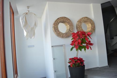 Telde Apartment | El Baladero