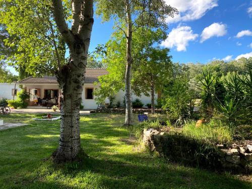 El Bosque House | El Garrotal