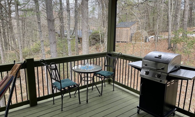 Mills River Cabin | Electric, Water, & WIFI- Sleeps 4